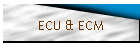 ECU & ECM